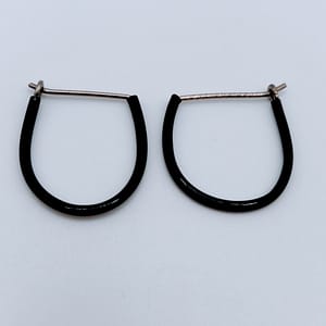 Titan Ohrringe Schwarz